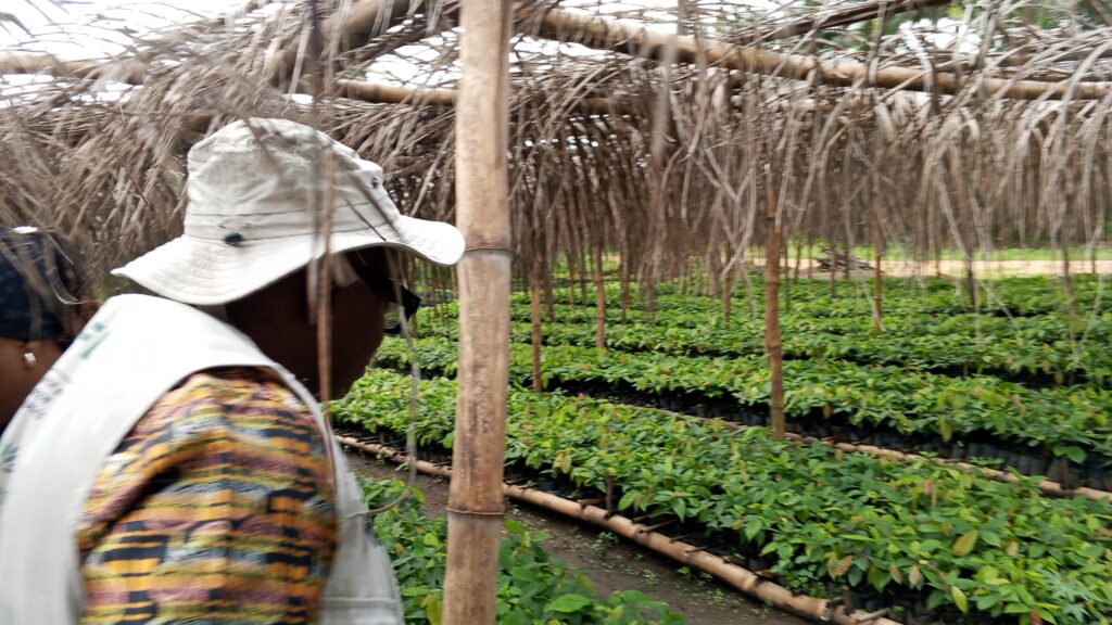 0-3840x2174-0-0-{}-0-24#