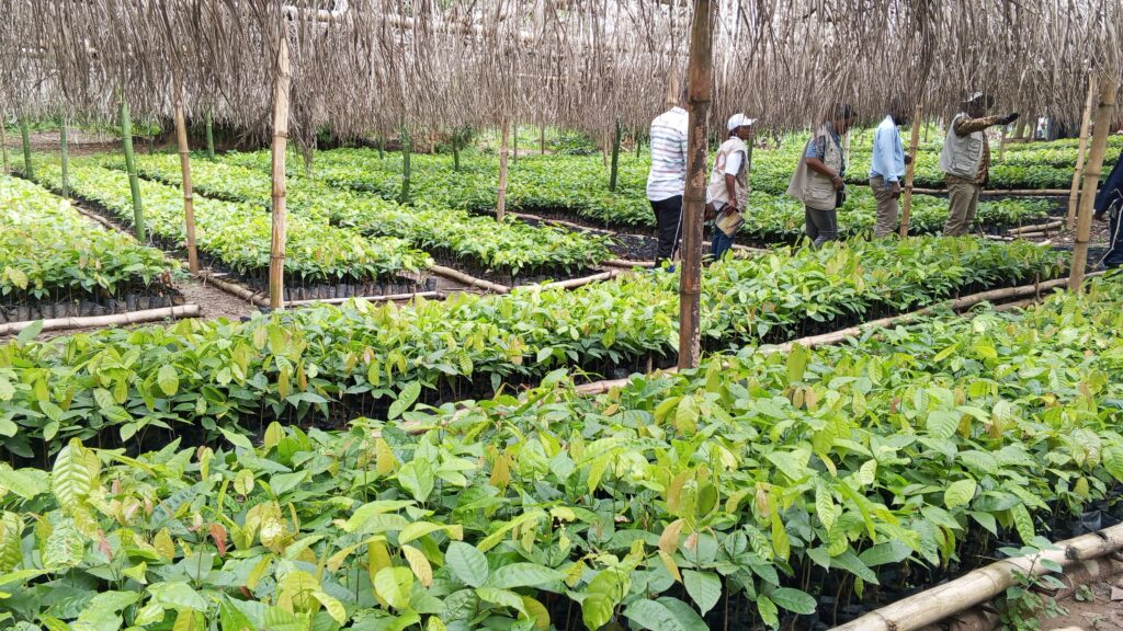 0-3840x2174-0-0-{}-0-24#