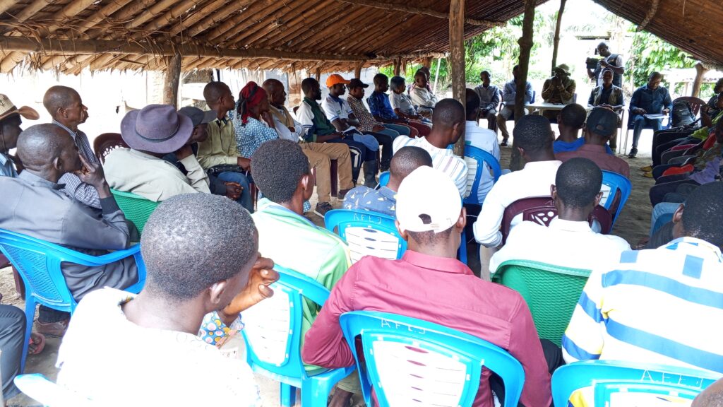 0-3840x2174-0-0-{}-0-24#